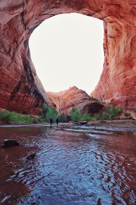 5 Photos from a Solo Adventure in Escalante, Utah Escalante Utah, Solo Adventure, Utah Vacation, West Coast Trail, Utah Adventures, Utah Road Trip, Utah Hikes, Utah Travel, Nature Scenery