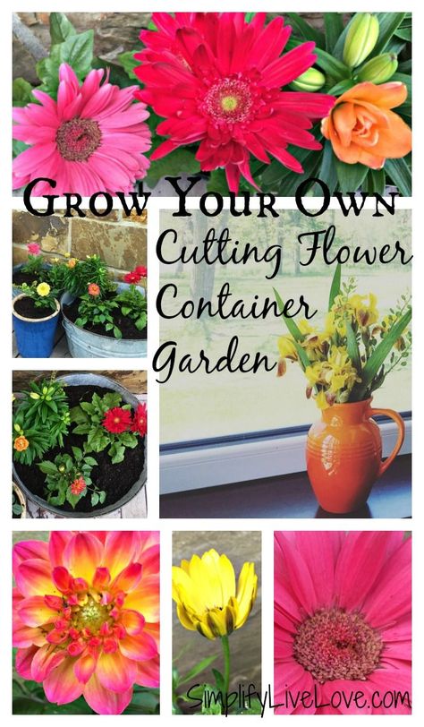 Flower Container Garden, Window Box Garden, Growing Cut Flowers, Golden Afternoon, Organic Gardening Pest Control, Raised Garden Bed Plans, Vertical Vegetable Garden, Potted Flowers, Container Gardening Flowers