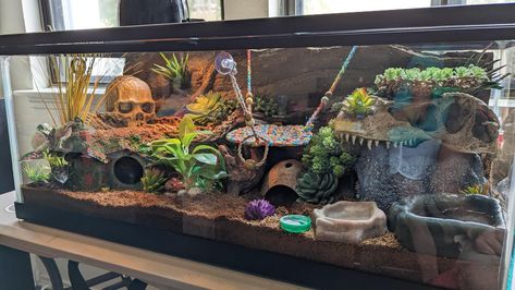 Tegu Enclosure Ideas, Tokay Gecko Enclosure, Bio Active Leopard Gecko Tank, Corn Snake Cage Ideas, Snake Cage Ideas, Snake Enclosure Ideas Diy, Snake Tank Ideas, Cute Leopard Gecko Tank Ideas, Snake Habitat Ideas