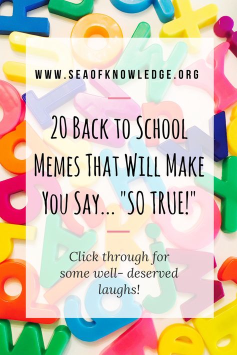 Back to School Funny Quotes That Make Will Make You Say “So True!” Back to school time isn't a teacher's favorite time of the year, here are a list of 20 real-life TRUE moments that all teachers could relate to! Click through to laugh and read 20 funny back to school quotes that will make teachers say SO TRUE! #teachers #backtoschool #backtoschoolquotes #teachermemes #teacherhumor Back To School Humor For Teachers, Funny School Sayings, School Starting Quotes Funny, Teacher Quotes Funny Motivational, Back To School For Teachers Quotes, First Day Teacher Quotes, Back To School Teacher Quotes Funny, Motivational Quotes For Teachers Funny, Have A Great School Year Quotes