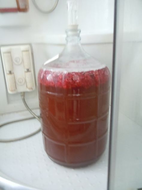 Raspberry Mead : 8 Steps (with Pictures) - Instructables Mead Wine Recipes, Mead Wine, Mead Recipe, Raspberry Bush, Wine Yeast, Moonshine Recipes, Fermentation Recipes, Raspberry Recipes, Homemade Wine