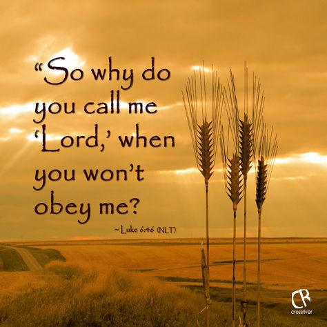 “So why do you call me ‘Lord,’ when you won’t obey me?" ~ Luke 6:46 #NLT #Bible verse | CrossRiverMedia.com Obey Me Luke, Religion Vs Spirituality, Bible Verses About Nature, Nlt Bible, Wisdom Scripture, Walking With Jesus, Godly Wisdom, Pray For America, Luke 6