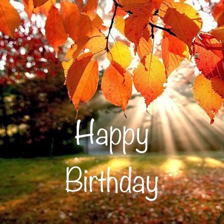 Happy Birthday Autumn Images, Fall Happy Birthday Wishes, Happy Birthday Fall Images, Fall Birthday Wishes, Niece Birthday Wishes, Birthday Celebration Quotes, Happy Birthday Hd, Happy Birthday Cat, Happy Birthday Man