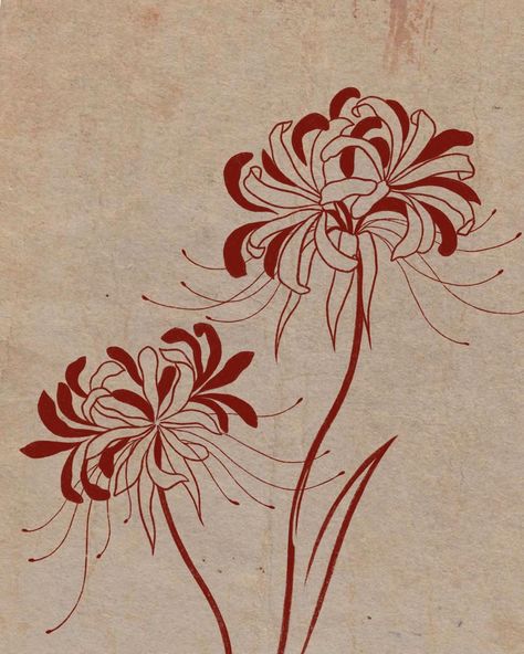 Spider Lily or Higanbana Available for booking #tattoo #redtattoo #tattooart #tattooartist #tattooinspo #tattoosketch #londontattoo #uktattoo #tattoolondon #botanicaltattoo #spiderlily Flower Tattoos Lily, Tattoos Lily Of The Valley, Spider Lily Design, Tattoos Lily, Lea Tattoo, Flor Tattoo, Lilies Drawing, Lily Wallpaper, Red Spider Lily