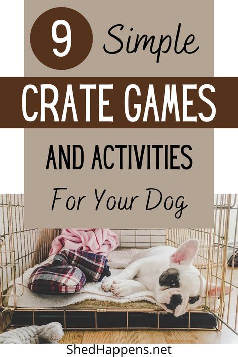 dog laying in a crate | 9 simple crate games and activities for your dog How To Entertain Puppies, Activities For Dogs On Crate Rest, Dog Kennel Activities, Puppy Games Training, Crate Games For Puppies, Activities For Puppies, Dog Crate Enrichment, Puppy Crate Setup, Dogs Activities