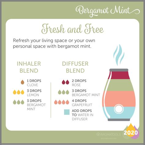 Mint Diffuser Blends, Mojito Diffuser Blend, Bergamot Mint Diffuser Blend, Benefits Of Bergamot Essential Oil, Lavender Bergamot Blend, Mint Oil, Doterra Diffuser Blends, Essential Oil Diffuser Recipes, Oil Diffuser Recipes