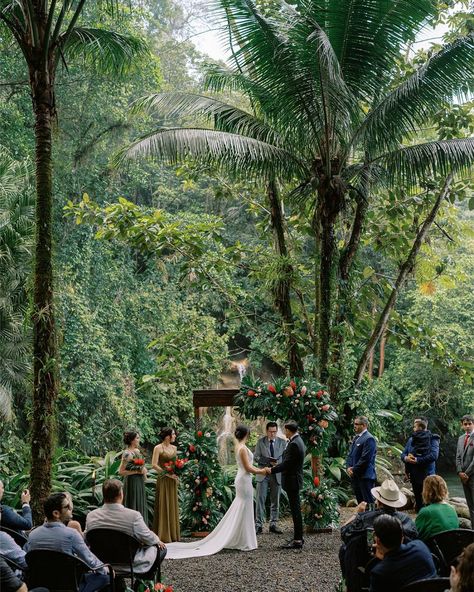 Costa Rican Wedding, Jungle Wedding Theme, Brazil Wedding, Tropical Wedding Venue, Belize Wedding, Mexico Wedding Venue, Jungle Wedding, Tropical Wedding Theme, Tropical Wedding Inspiration