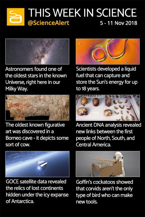 this week in science 5 11 Nov Interesting Science Facts, Cool Science Facts, Space Facts, Engineering Technology, Quantum Mechanics, Science News, Science Facts, Funny Phone Wallpaper, Space Science