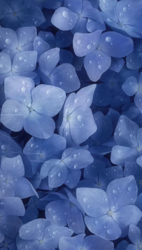 #blue #purple #flowers #raindrops #aesthetic #wallpaper #babyblue #pastel Light Blue Flower Wallpaper, Aesthetic Summer Wallpaper, Wallpaper Macbook, Blue Flower Wallpaper, Wallpaper Estetika, Light Blue Aesthetic, Blue And Purple Flowers, Aesthetic Light, Phone Icons