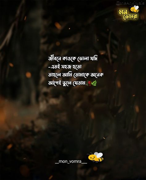 Sed Video, Bangla Type, Romantic Love Couple, Bangla Love Quotes, Bangla Quotes, Couple Videos, Romantic Love, Cute Couple Videos, Love Quotes