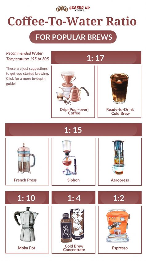 #SignatureDrinkRecipes Coffee 101, Barista Recipe, Coffee Knowledge, Moka Pot Espresso, Homemade Coffee Drinks, Coffee To Water Ratio, Roasting Coffee, Man Recipes, Food Shelf