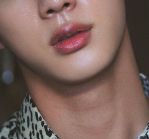 Jin's Lips, World Wide Handsome Jin, World Wide Handsome, Plump Lips, Juicy Lips, Seokjin Bts, Most Handsome Men, Beautiful Lips, About Bts