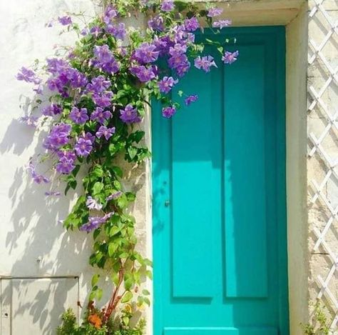 Coloured Door Exterior, Colourful Front Doors, Door With Flowers, Colourful Doors, نباتات منزلية, Gorgeous Doors, Cool Doors, Blue Door, Old Doors