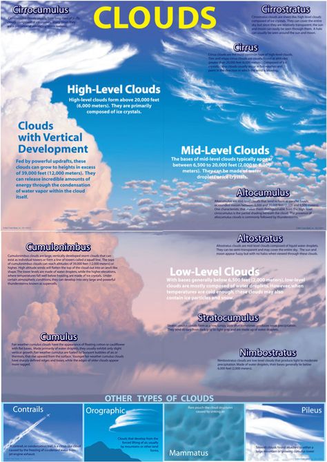 Types of Clouds Clouds Types, Types Of Clouds, Science Bulletin Boards, Cloud Type, Weather Science, Clouds In The Sky, Earth And Space Science, Bulletin Board Sets, Weather And Climate