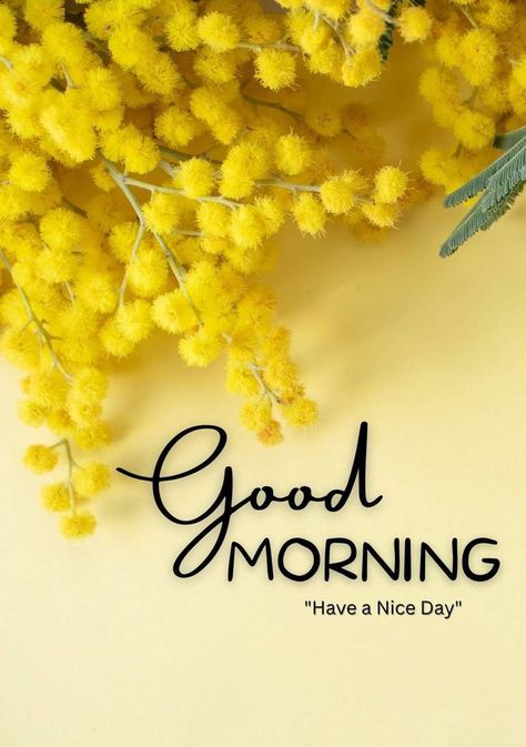 Renatus Wellness, Very Good Morning Images, Good Morning Rose Images, Good Morning Sister Quotes, Good Morning Posters, Good Morning Smiley, Gd Morning, Morning Msg, Morning Wallpaper