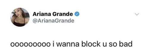 Ariana Tweets, Iconic Tweets, Ariana Grande Quotes, Sea Bunny, Ariana Grande Lyrics, Ariana Grande Fans, Twitter Header Pictures, Header Pictures, Doing Me Quotes