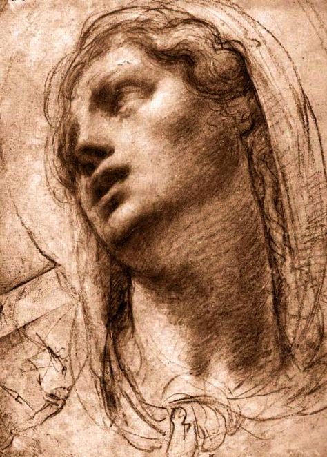 Renesance Drawing, Annibale Carracci, Rennaissance Art, Master Drawing, Academic Art, Portrait Sketches, Caravaggio, Anatomy Art, Rembrandt