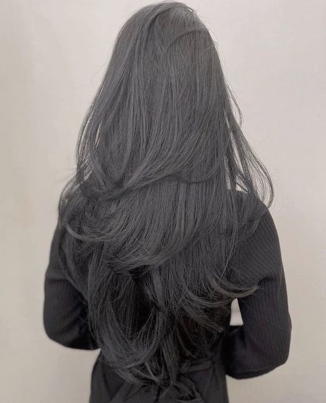 Long Black Colored Hair Hairstyles, Jet Black Hair Long Layers, Long Black Hair With Lots Of Layers, Haircuts For Long Black Hair Straight, Long Hair Layers Black, Long Layers On Black Hair, Long Layers With Face Framing Pieces Black Hair, V Layered Haircut Long, Layers Long Black Hair