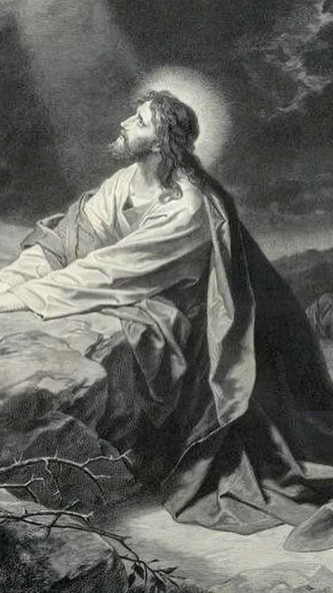 Jesus Aesthetic, Biblical Artwork, Catholic Wallpaper, Church Aesthetic, Jesus Drawings, Jesus Artwork, Jesus Christ Artwork, Heaven Art, Jesus Christ Art