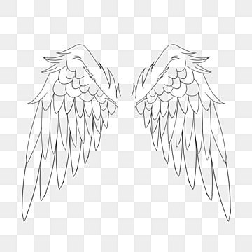 Angles Wings Drawing, Angel Wings Transparent Background, Angle Drawing Reference Wings, Wings Angel Drawing, Angel Wings Drawing Easy, Angel Wings Drawing Simple, Angel Wings Drawing Reference, Angel Wings Sketch, Angel Wing Drawing