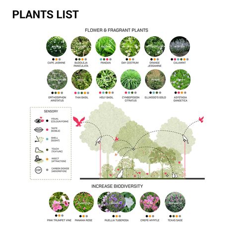 Gallery of Come on, Calm on / Shma - 19 Planting Strategy Landscape Architecture, Landscape Zoning Diagram, Plant Palette Landscape Architecture, Landscape Analysis Diagram, Shma Landscape, Landscape Architecture Layout, Vegetation Analysis, Landscape Concept Diagram, Planting Concept