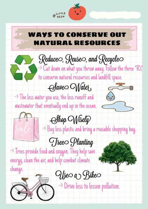 Conserve Nature Poster, Conservation Of Nature Poster, Save Natural Resources Poster, Conservation Of Resources Poster, Conservation Of Natural Resources Poster, Nature Conservation Poster, Natural Resources Project, Natural Resources Poster, Natural Resources Images