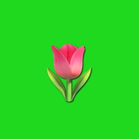 Flower green screen Flower Green Screen, Rose Emoji, Green Emoji, Emojis Iphone, Apple Emojis, Red Hair Inspiration, Ios Emoji, Theme Soft, Overlays Instagram