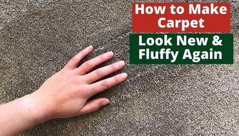 How to Make Carpet Look New and Fluffy Again | Simple Guides Natural Odor Remover, Carpet Stain, Diy Carpet Cleaner, Carpet Cleaning Solution, Old Carpet, Diy Cleaning Solution, Carpet Cleaning Hacks, Homemade Cleaning, Boozy Drinks