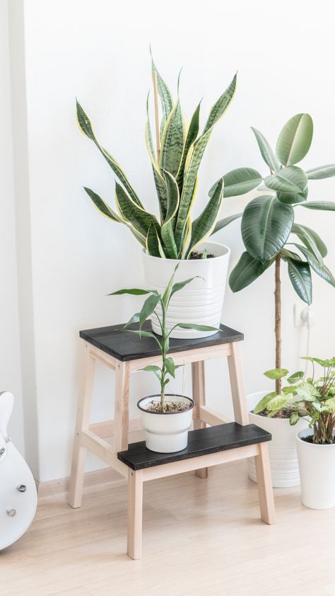 Ikea Plant Stand Hack, Plant On A Stool, Plant On Stool, Ikea Plants Ideas, Ikea Plant Hacks, Ikea Bekvam Hack, Bekvam Stool, Ikea Plant Stand, Ikea Step Stool