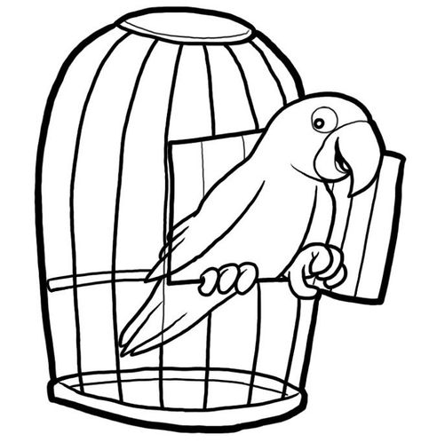 Pets Coloring Pages Pets Coloring Pages, Bird Coloring Page, Bird In A Cage, Bird Coloring, Pet Bird Cage, Easy Pets, Little Live Pets, Cartoon Birds, Bird Coloring Pages