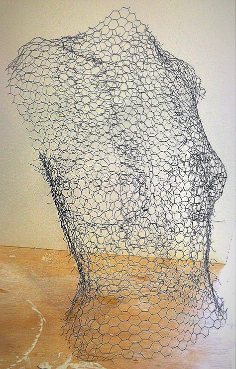 Wire Bust Sculpture, Cool Installation Art, Ceramic Light Sculpture, Plaster Sculpture Ideas, Sculpture Armature, Sculpture Art Abstract, Wire Sculpture Art, Metal Wire Sculpture, Surrealism Sculpture