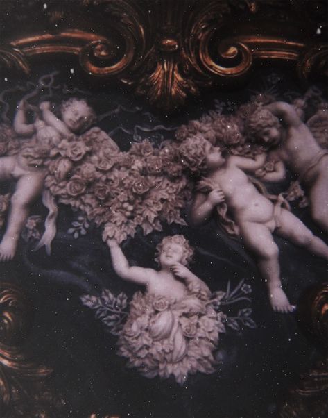 Flower Goth Aesthetic, Victorian Goth Paintings, French Gothic Aesthetic, Dark Rococo Aesthetic, Bacchanalia Aesthetic, Dark Baroque Art, Goth Princess Aesthetic, Keri Lake, Ethereal Goth