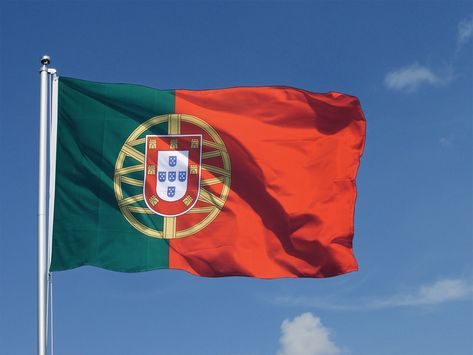 Flag Portugal, Gb Flag, Portugal Country, Portuguese Flag, Portugal Flag, Flag Pole, The Flag, Canada Flag, Country Flags