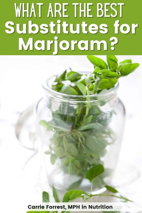 Marjoram Substitute, Real Food Diet, Air Fryer Oven Recipes, Dairy Free Options, Oven Recipes, Eating Recipes, Marjoram, Eating Habits, Clean Eating Recipes