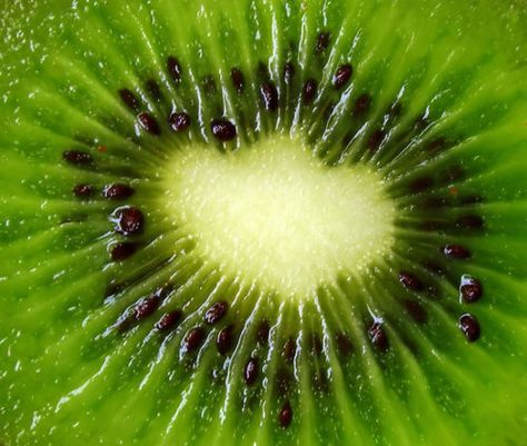 so fresh Fruit Aesthetic, I Love Green, Kitchen Showroom, Extreme Close Up, Mean Green, Nuts & Seeds, Fruit Seeds, Close Up Photography, Kiwi Fruit