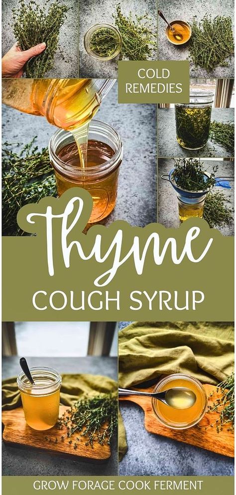 Follow our Thyme Cough Syrup Recipe for a natural approach to herbal remedies recipes. This syrup combines thyme's medicinal properties with honey's soothing effects, perfect for easing coughs and cold symptoms. Ideal for those interested in homemade herbal medicine. Find more about herbalism for beginners, natural remedies, and herbs for health at growforagecookferment.com. Honey Cough Syrup, Cough Syrup Recipe, Thyme Honey, Herbal Medicine Recipes, Herbal Remedies Recipes, Cold Symptoms, Herbal Tinctures, Herbal Recipes, Natural Healing Remedies