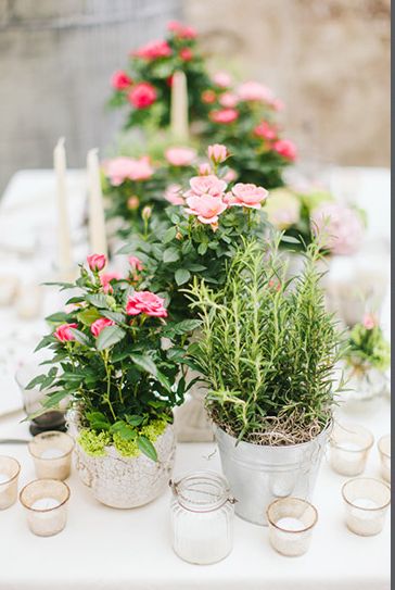 Potted Flowers At Wedding, Potted Flowers Wedding Centerpiece, Sustainable Centerpieces Wedding, Herb Centerpieces Dining Table, Tabletop Planter Ideas, Flower Pot Table Centerpieces, Potted Plant Table Centerpieces, Table Top Planter Ideas, Potted Plant Wedding Centerpieces