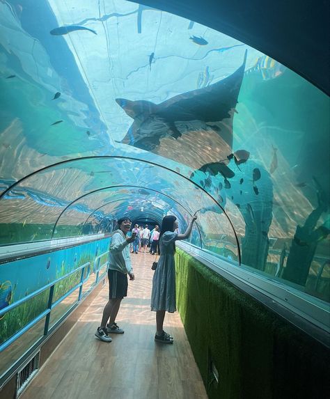 Aquarium Date, Dream Dates, Romantic Date Night Ideas, Couple Activities, Cute Date Ideas, Dream Date, Friend Activities, Date Night Ideas, Summer Dates