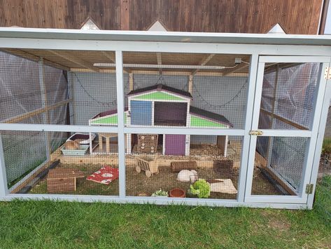 Pet Bunny Rabbits, Guinea Pig Cage, Rabbit Hutches, Pet Bunny, Hutch, Bunny Rabbit, Farm Life, Guinea Pigs, Villa