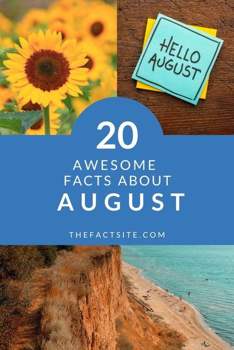 August is the eighth month of the Gregorian calendar. For the northern hemisphere it's generally the hottest month of the year and for the southern it's the coldest. If you're a lover of August you'll love these 20 awesome facts all about this month. Come check them out. #TheFactSite #Facts #Months #SummerMonths #SummerTime #Seasons #August Things That Represent August, Things To Do In August, August Activities, August Themes, Gregorian Calendar, August Calendar, Hello August, August Month, August Born