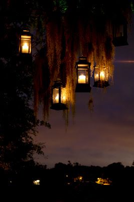 Bayou Party, Voodoo Party, Medicinal Gardening, Swamp Party, Moss Hanging, Swamp Theme, Voodoo Halloween, Light Posts, Louisiana Bayou