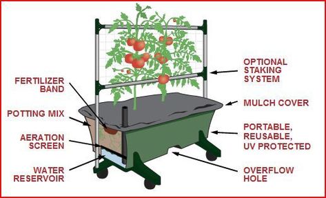 Earthbox Gardening, Self Watering Containers, Grow Boxes, Garden Plots, Home Grown Vegetables, Astuces Diy, Self Watering Planter, Garden Kits, Garden Boxes