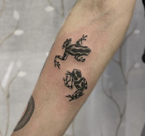 Black And Grey Line Work Tattoo, Rainforest Frog Tattoo, Poison Dart Frog Tattoo Design, Small Critter Tattoo, Animal Tattoos Realistic, Dark Frog Tattoo, Black Squirrel Tattoo, Blocky Tattoos, Poison Frog Tattoo