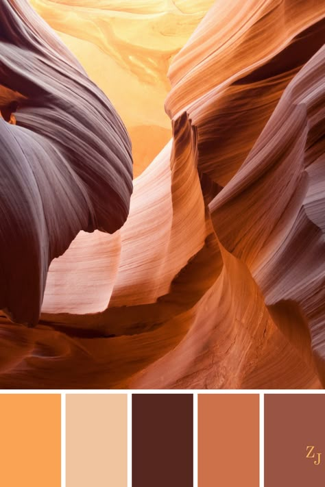 ZJ Colour Palette 252 #colourpalette #colourinspiration Ocre Color Palette, Canyon Color Palette, Color Collage, Warm Colours, Color Palate, Design Seeds, Fall Inspiration, Color Balance, Color Harmony