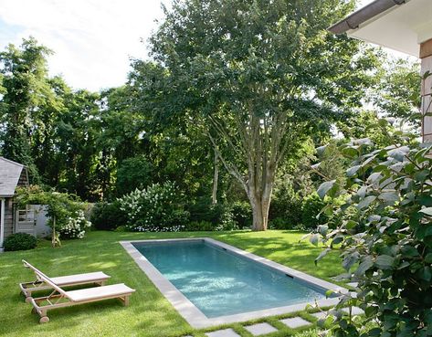 A modest pool design for the small yard - Decoist Design Per Patio, Backyard Pool Design, Plunge Pools, Small Swimming Pools, Pool Landscape Design, Above Ground Pool Landscaping, Small Pool Design, Backyard Pool Landscaping, Small Pools