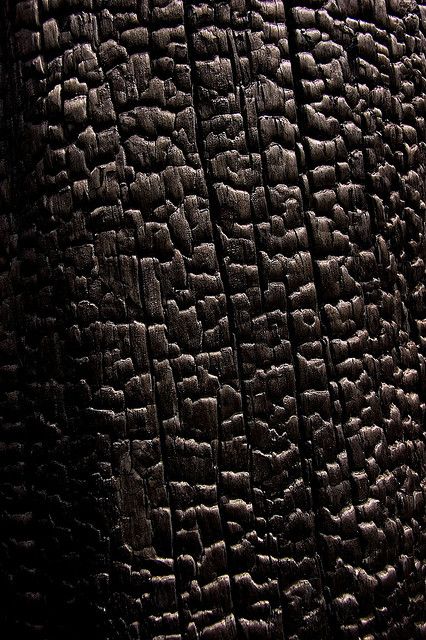 Burnt tree bark by Kouiskas, via Flickr Burnt Forest, Burnt Tree, Mary Poppins Musical, Tree Bark Texture, Hollow Tree, Ashes Series, Wood Bark, Burnt Wood, Texture Drawing