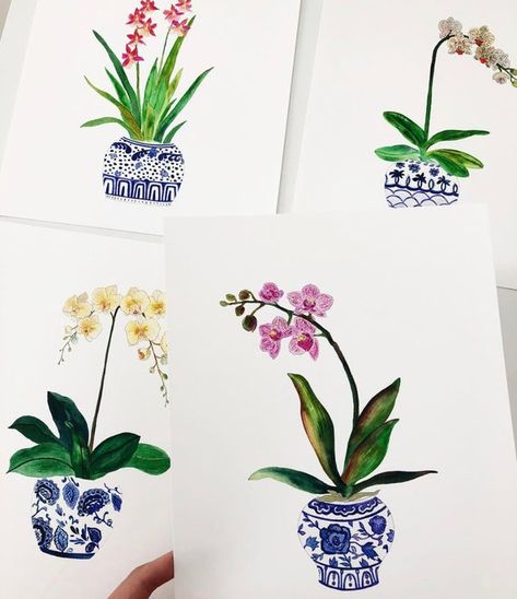 Living Room Art Prints. Watercolor Orchids. Set Of Four Orchid Ginger Jars. Blue/White Art Prints. M Watercolor Orchids, Ginger Jar Art, Room Art Prints, Blue And White Art, Living Room Art Prints, Blue And White Vase, Pink Orchids, Insect Art, Ginger Jar