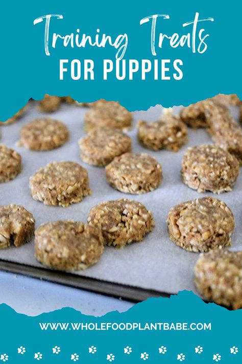 Homemade, healthy, and safe treats for training your puppies! Cut them small so they stretch and still reinforce good behavior! Training Treats For Puppies Homemade Dog, Homemade Training Treats For Dogs, Best Dog Treats For Training, Small Dog Treats For Training, Dog Training Treats Recipe, Training Dog Treats, Puppy Training Treats, Very Small Dogs, Dog Training Treats