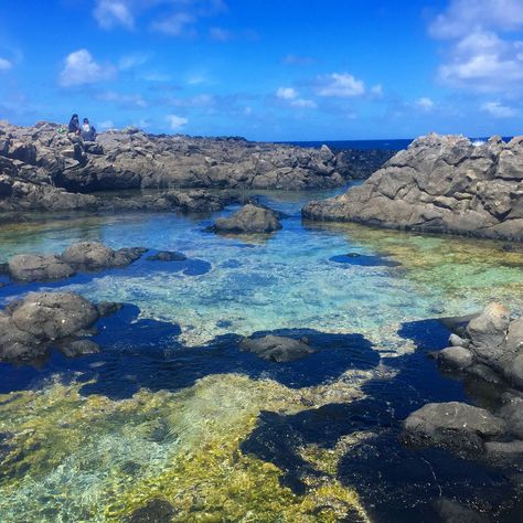 Tidepools Aesthetic, Tidepool Aesthetic, Makapuu Tidepools, Children's Book Characters, Sea Scape, Mermaid Kids, Tide Pool, Forest City, Underwater Art