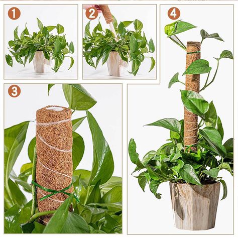 Plant Cages Supports Reusable Plant Climbing Stand Durable Flower Plants Support For Balcony Garden Courtyard Easy To Use - Plant Cages & Supports - AliExpress Garden Extension, Creepers Plants, Plant Cages, Plant Ties, Support Pictures, Palm Plant, Coconut Fiber, Plant Supports, Climbing Plants